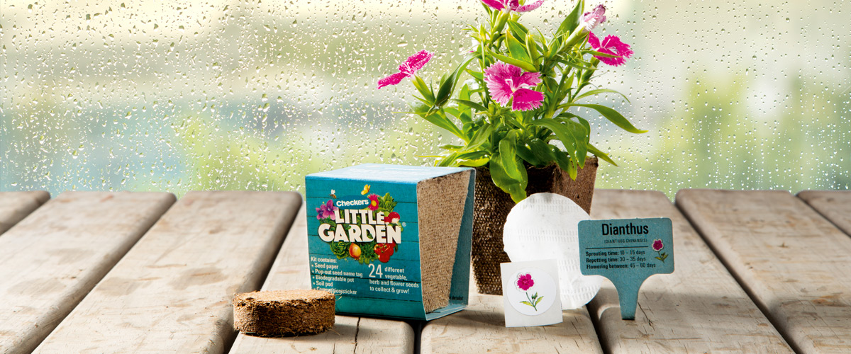 Checkers plan and pots