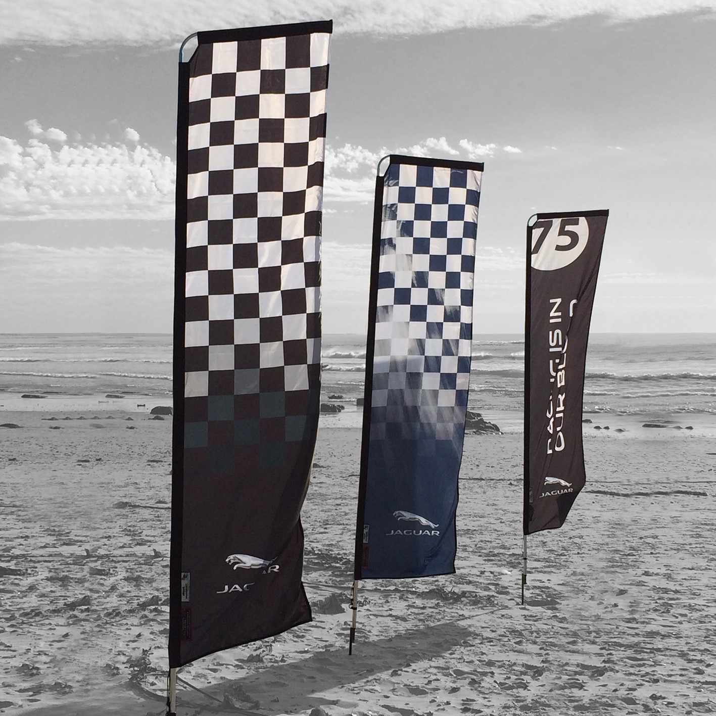 telescopic-banner.jpg